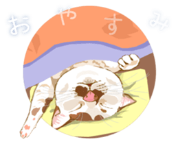 Meow Meow Cats2 sticker #2689530