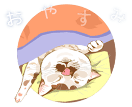 Meow Meow Cats2 sticker #2689530