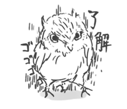 sticker of the owl sticker #2689598