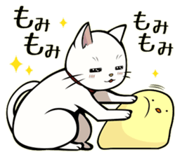 White cat & sometimes chick sticker #2689723