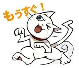 White cat & sometimes chick sticker #2689726