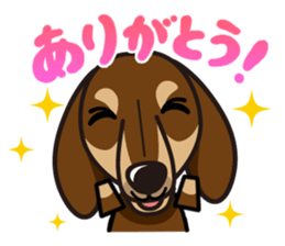 iinu - Dachshund sticker #2689893
