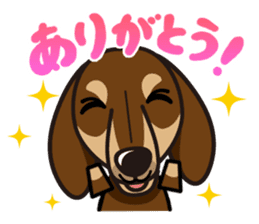 iinu - Dachshund sticker #2689893