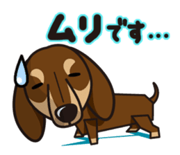 iinu - Dachshund sticker #2689907