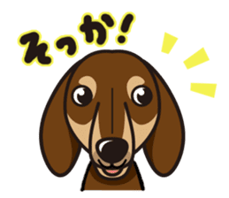 iinu - Dachshund sticker #2689912