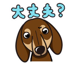 iinu - Dachshund sticker #2689918