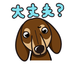 iinu - Dachshund sticker #2689918