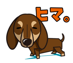 iinu - Dachshund sticker #2689922