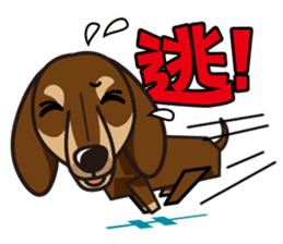 iinu - Dachshund sticker #2689925
