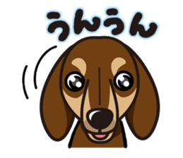 iinu - Dachshund sticker #2689926