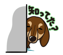 iinu - Dachshund sticker #2689929