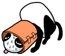 Cat panda sticker #2693901