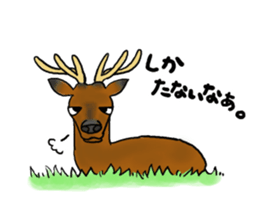 My favorite various animals sticker #2693990