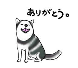 My favorite various animals sticker #2693997