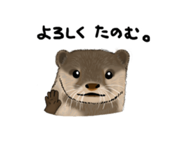 My favorite various animals sticker #2694000