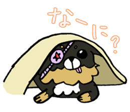Kansaiben chihuahuas sticker #2696211