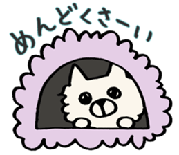 Kansaiben chihuahuas sticker #2696231
