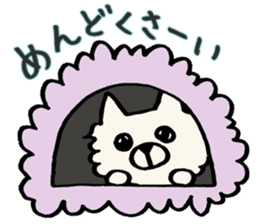 Kansaiben chihuahuas sticker #2696231