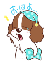 The Cavalier King Charles Spaniel Dog sticker #2699485