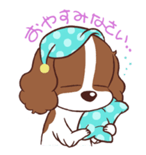 The Cavalier King Charles Spaniel Dog sticker #2699486