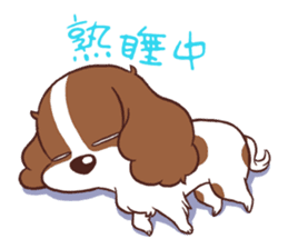 The Cavalier King Charles Spaniel Dog sticker #2699504
