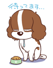 The Cavalier King Charles Spaniel Dog sticker #2699507