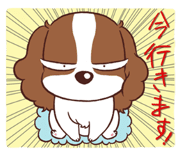 The Cavalier King Charles Spaniel Dog sticker #2699509