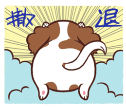 The Cavalier King Charles Spaniel Dog sticker #2699510