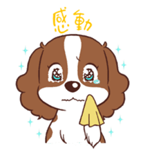 The Cavalier King Charles Spaniel Dog sticker #2699521