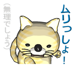 Tiger cat2 sticker #2699698