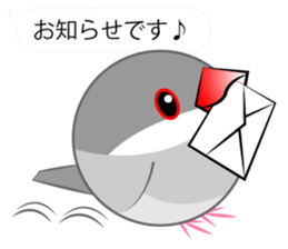 Cute Java sparrow Messenger sticker #2700051