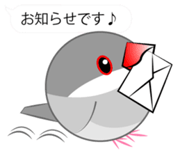 Cute Java sparrow Messenger sticker #2700051