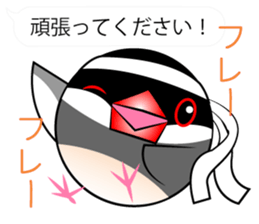 Cute Java sparrow Messenger sticker #2700056
