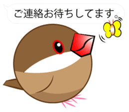 Cute Java sparrow Messenger sticker #2700062