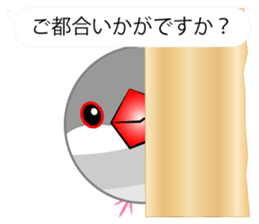 Cute Java sparrow Messenger sticker #2700071