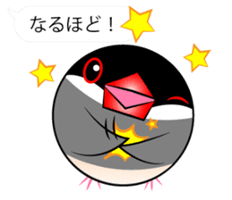 Cute Java sparrow Messenger sticker #2700073