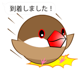 Cute Java sparrow Messenger sticker #2700078