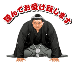 Former YOKOZUNA TAKANOHANA sticker #2701091