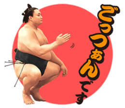 Former YOKOZUNA TAKANOHANA sticker #2701094