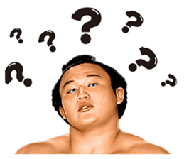 Former YOKOZUNA TAKANOHANA sticker #2701096