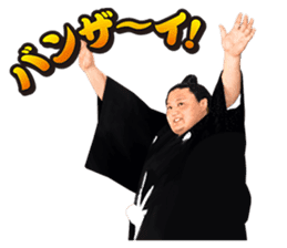 Former YOKOZUNA TAKANOHANA sticker #2701100