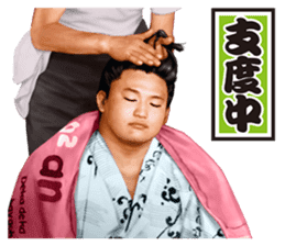 Former YOKOZUNA TAKANOHANA sticker #2701102