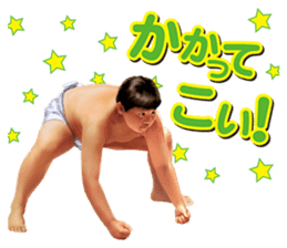 Former YOKOZUNA TAKANOHANA sticker #2701109