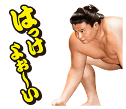 Former YOKOZUNA TAKANOHANA sticker #2701110