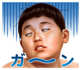 Former YOKOZUNA TAKANOHANA sticker #2701117