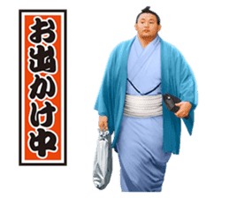 Former YOKOZUNA TAKANOHANA sticker #2701118
