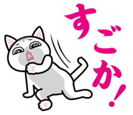 We can use Kyusyu dialect immediately 2 sticker #2702272