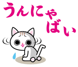 We can use Kyusyu dialect immediately 2 sticker #2702278