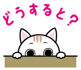 We can use Kyusyu dialect immediately 2 sticker #2702283