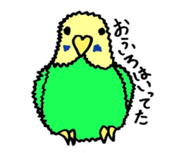 Chiruchiru parakeet sticker #2702494